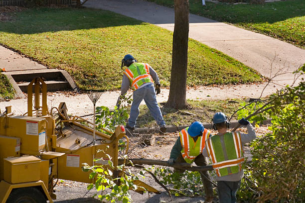 Best Lawn Drainage Solutions  in Glen Allen, VA